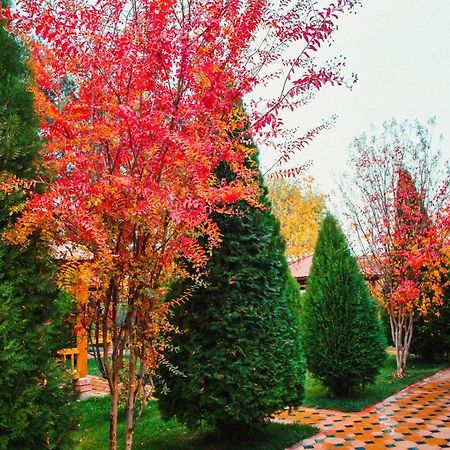 Hotel Grace Garden Kum Zewnętrze zdjęcie
