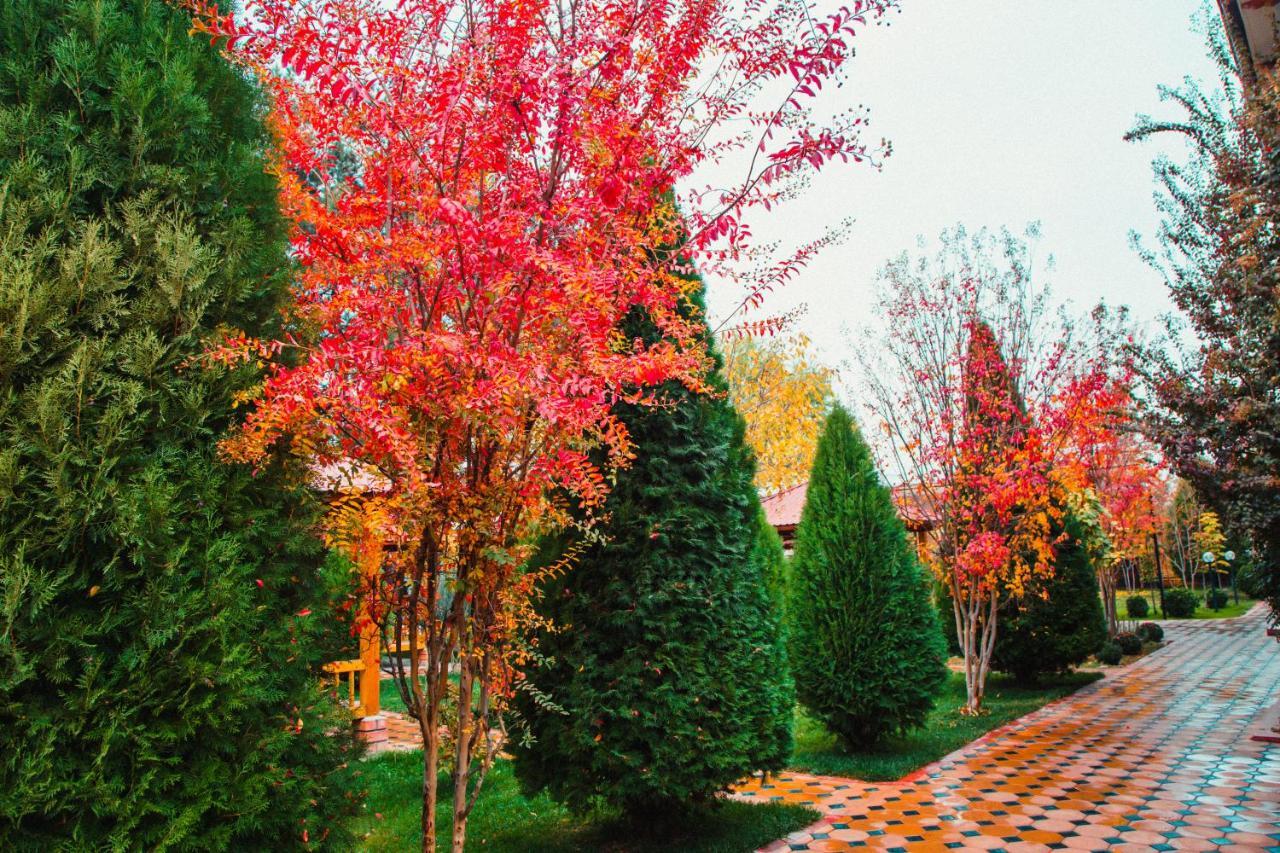 Hotel Grace Garden Kum Zewnętrze zdjęcie